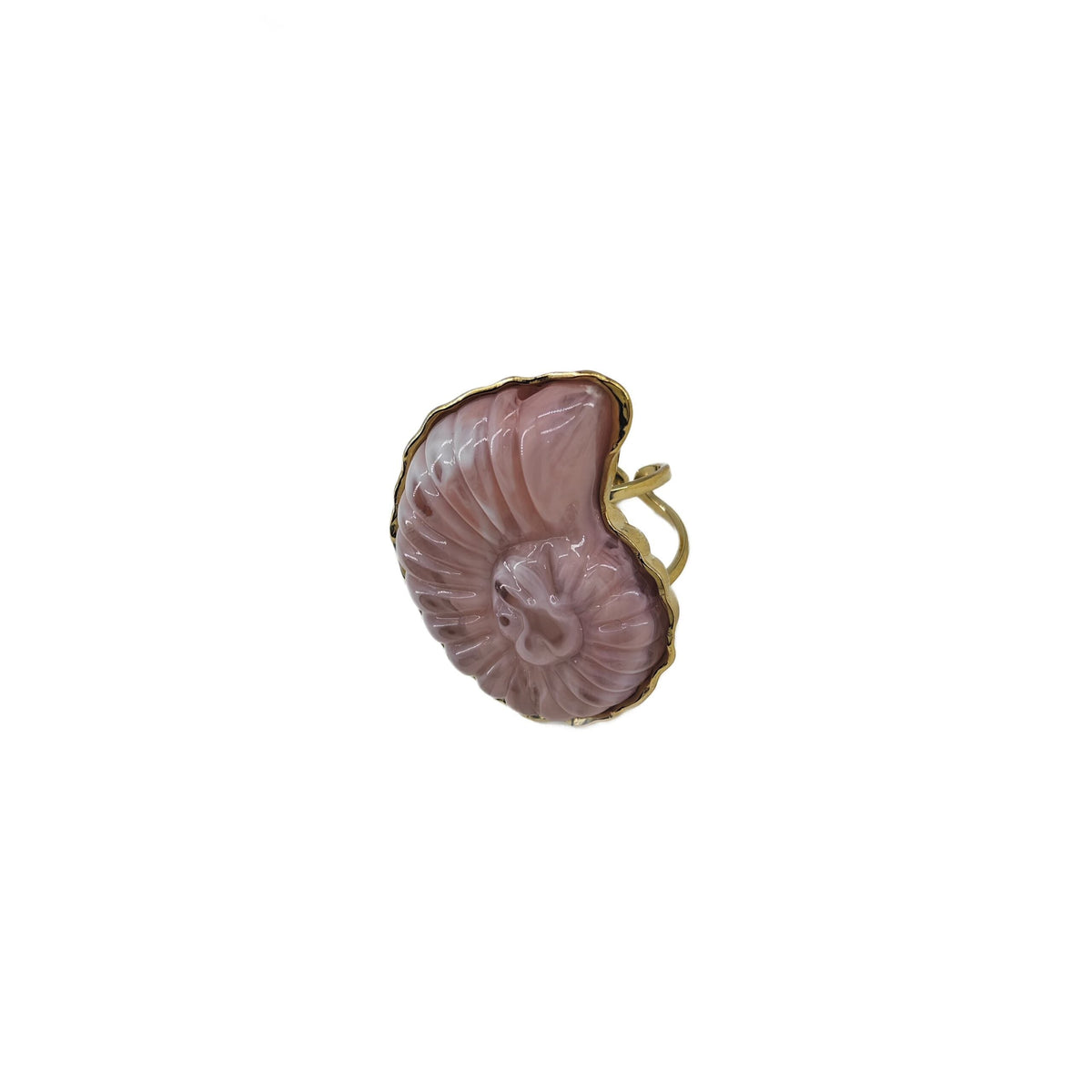 Anillo de resina