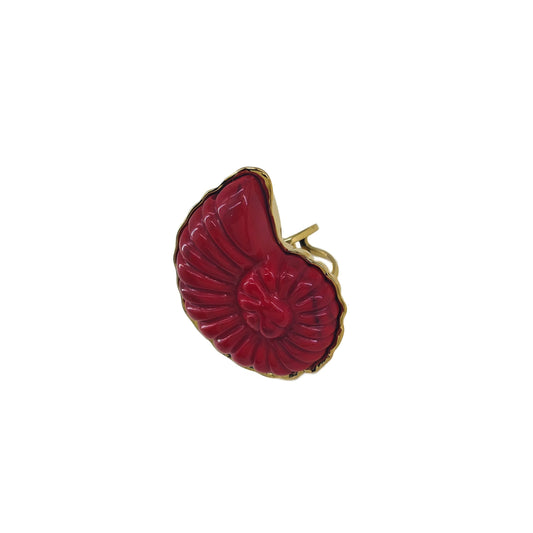 Anillo de resina