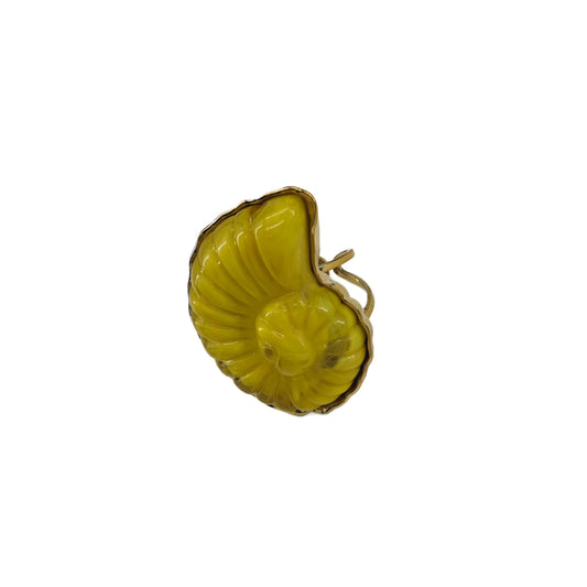 Anillo de resina