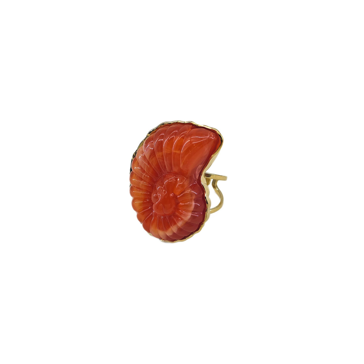 Anillo de resina