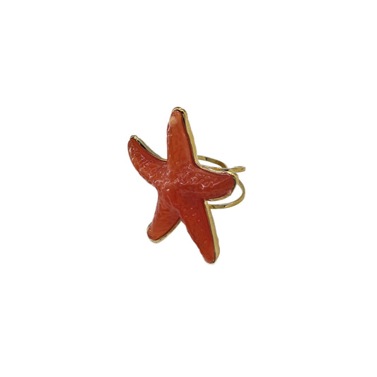 Anillo de resina