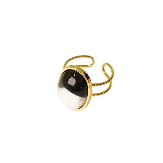 Anillo de resina