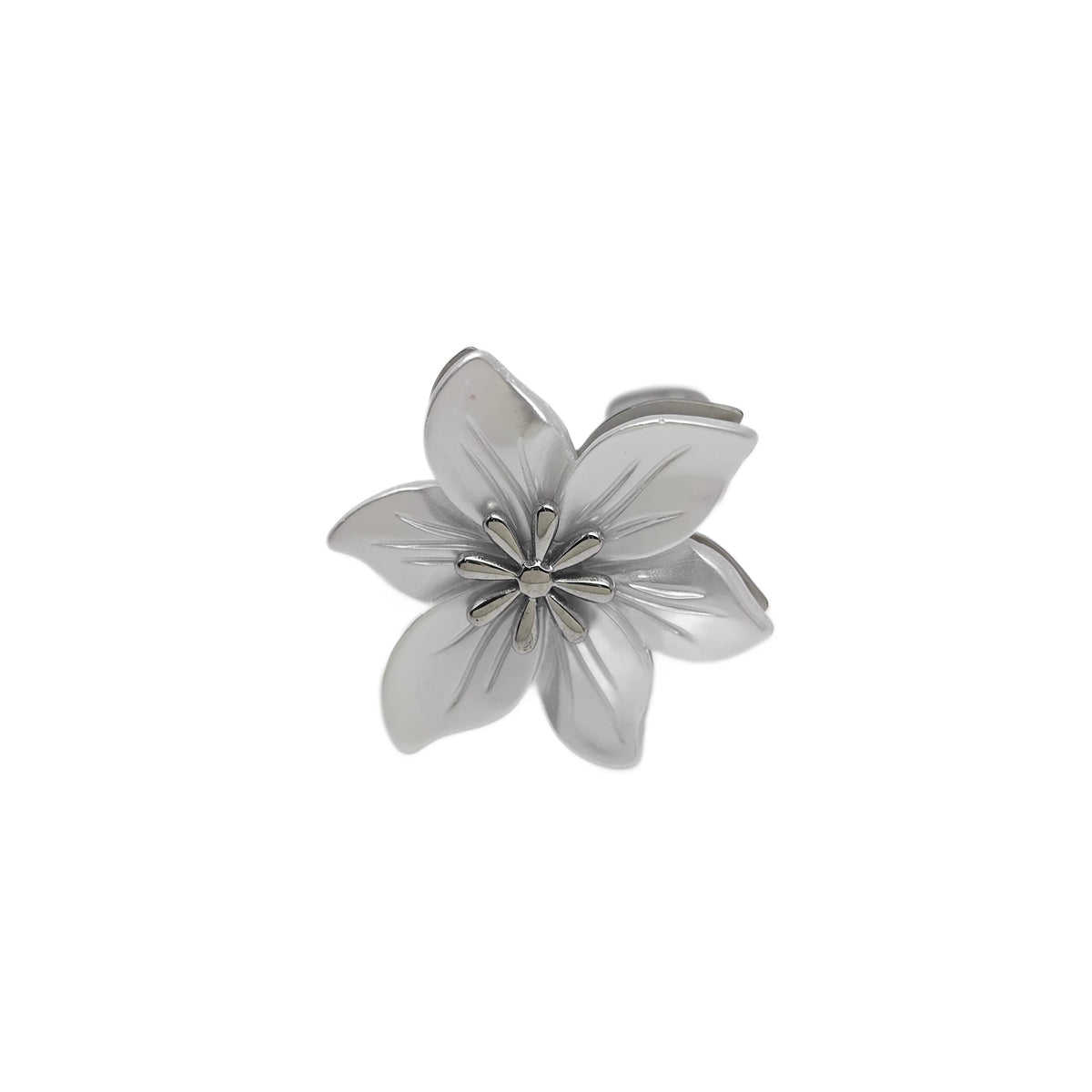 Anillo de resina