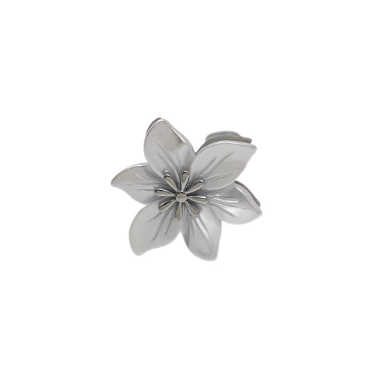 Anillo de resina
