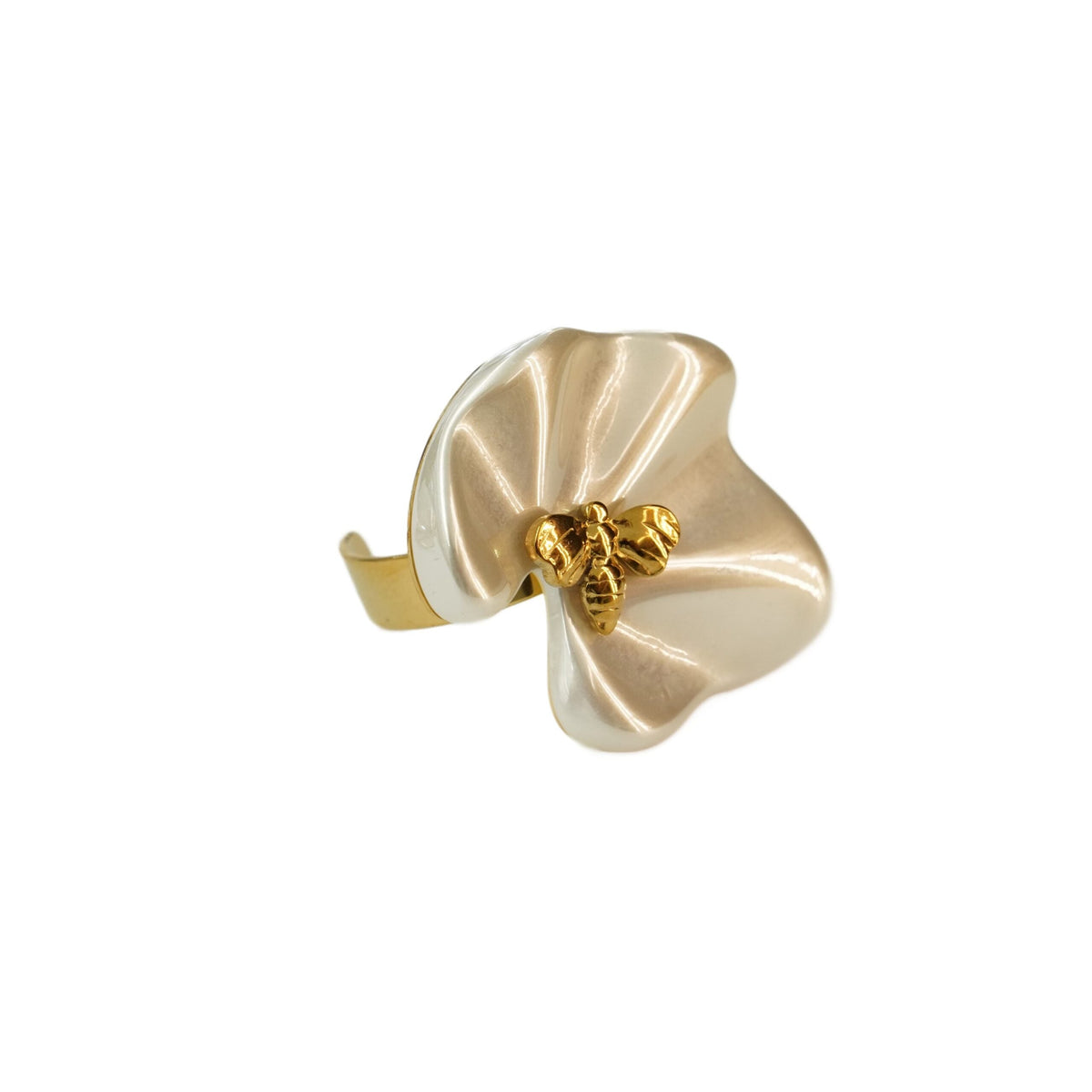 Anillo de resina
