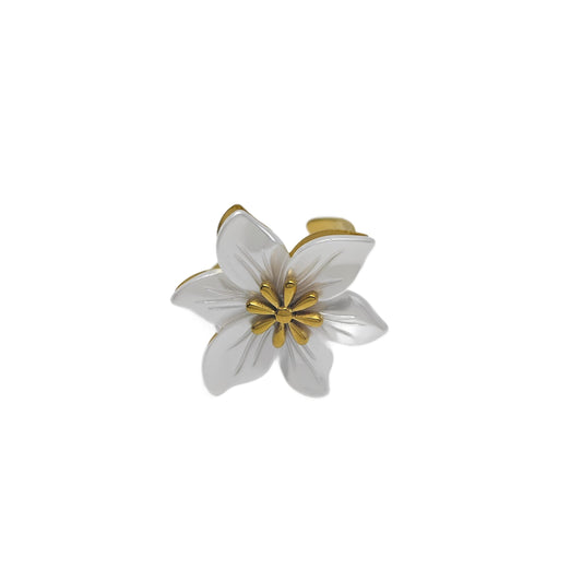 Anillo de resina