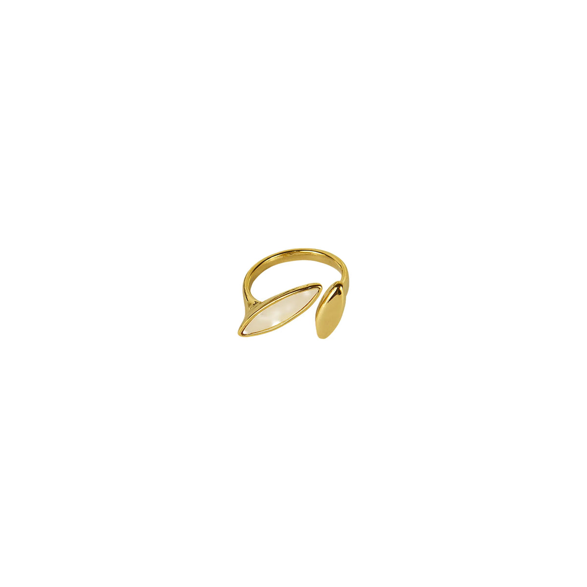 Anillo de resina