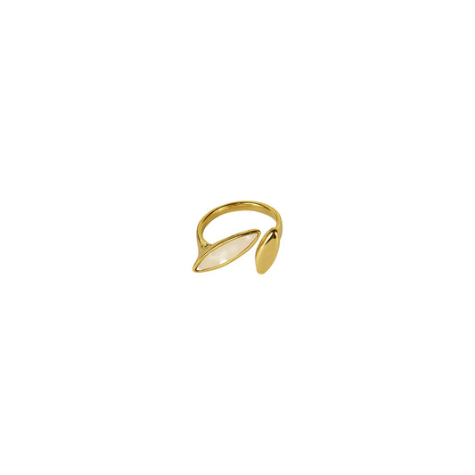 Anillo de resina