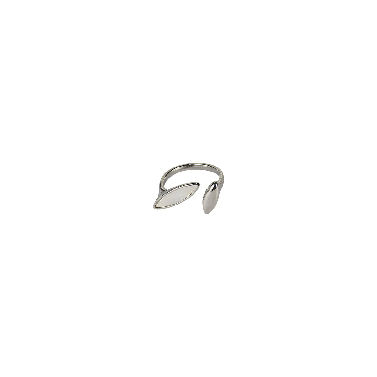 Anillo de resina